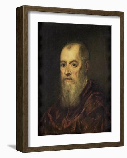 Portrait of a Man with a Red Cloak-Jacopo Tintoretto-Framed Art Print