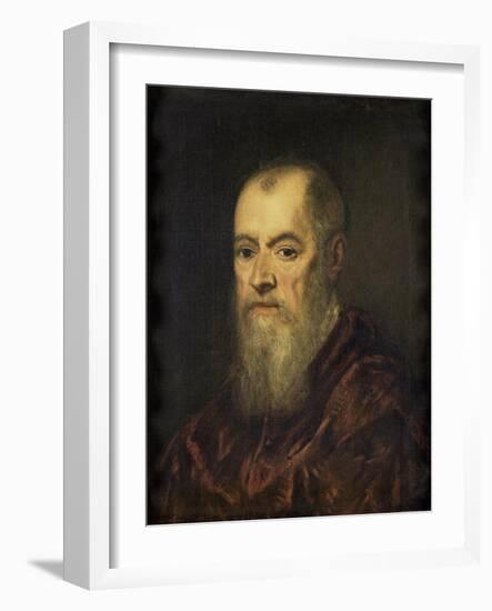 Portrait of a Man with a Red Cloak-Jacopo Tintoretto-Framed Art Print