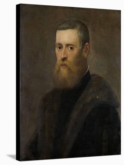Portrait of a Man-Jacopo Tintoretto-Stretched Canvas