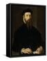 Portrait of a Man.-Maarten van Heemskerck-Framed Stretched Canvas