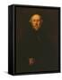 Portrait of a Man-Jacopo Robusti Tintoretto-Framed Stretched Canvas