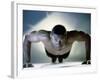 Portrait of a Mid Adult Man Exercising-null-Framed Photographic Print