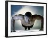 Portrait of a Mid Adult Man Exercising-null-Framed Photographic Print