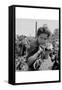 Portrait of a Migratory Boy Picking Hops-Dorothea Lange-Framed Stretched Canvas