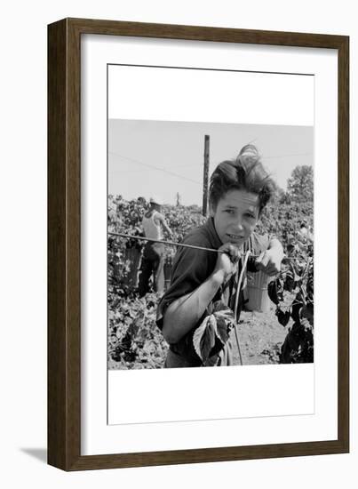 Portrait of a Migratory Boy Picking Hops-Dorothea Lange-Framed Art Print