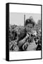 Portrait of a Migratory Boy Picking Hops-Dorothea Lange-Framed Stretched Canvas