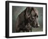 Portrait of a mixed Dog-Panoramic Images-Framed Photographic Print