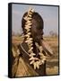 Portrait of a Mursi Woman with Clay Lip Plate, Lower Omo Valley, Ethiopia-Gavin Hellier-Framed Stretched Canvas