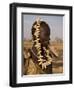 Portrait of a Mursi Woman with Clay Lip Plate, Lower Omo Valley, Ethiopia-Gavin Hellier-Framed Photographic Print