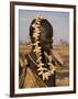 Portrait of a Mursi Woman with Clay Lip Plate, Lower Omo Valley, Ethiopia-Gavin Hellier-Framed Photographic Print