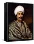 Portrait of a Nawab, C. 1856-62-Benjamin Hudson-Framed Stretched Canvas