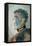 Portrait of a Noble Duke, Cartoon of Arthur Wellesley, Duke of Wellington (1769-1852) Pub. 1829-null-Framed Stretched Canvas