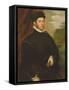 Portrait of a Nobleman-Jacopo Robusti Tintoretto-Framed Stretched Canvas