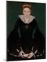 Portrait of a Noblewoman, C.1550-null-Mounted Giclee Print