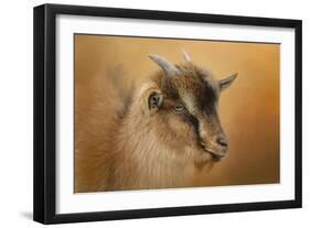 Portrait of a Nubian Dwarf Goat-Jai Johnson-Framed Premium Giclee Print