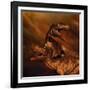 Portrait of a Pair of Megalosaurus Dinosaurs-null-Framed Art Print