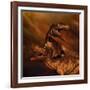 Portrait of a Pair of Megalosaurus Dinosaurs-null-Framed Art Print