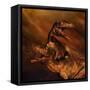 Portrait of a Pair of Megalosaurus Dinosaurs-null-Framed Stretched Canvas