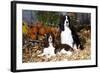 Portrait of a Pair of Show-Type English Springer Spaniels-Lynn M^ Stone-Framed Photographic Print