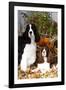 Portrait of a Pair of Show-Type English Springer Spaniels-Lynn M^ Stone-Framed Photographic Print