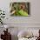 Portrait of a Parrot-Zandria Muench Beraldo-Stretched Canvas displayed on a wall