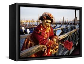 Portrait of a Person Dressed in Carnival Mask and Costume, Venice Carnival, Venice, Veneto, Italy-Lee Frost-Framed Stretched Canvas