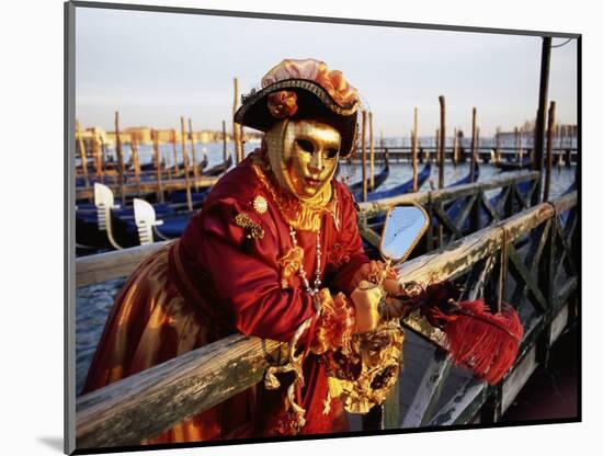 Portrait of a Person Dressed in Carnival Mask and Costume, Venice Carnival, Venice, Veneto, Italy-Lee Frost-Mounted Photographic Print