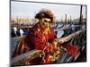 Portrait of a Person Dressed in Carnival Mask and Costume, Venice Carnival, Venice, Veneto, Italy-Lee Frost-Mounted Photographic Print