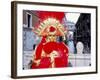 Portrait of a Person Dressed in Mask and Costume Posing in Front of the Bridge of Sighs-Lee Frost-Framed Photographic Print