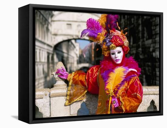 Portrait of a Person Dressed in Mask and Costume Posing in Front of the Bridge of Sighs-Lee Frost-Framed Stretched Canvas