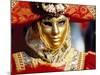 Portrait of a Person Dressed in Mask and Costume Taking Part in Carnival, Venice, Italy-Lee Frost-Mounted Photographic Print