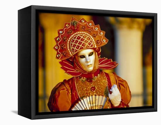 Portrait of a Person Dressed in Mask and Costume Taking Part in Carnival, Venice, Italy-Lee Frost-Framed Stretched Canvas