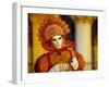 Portrait of a Person Dressed in Mask and Costume Taking Part in Carnival, Venice, Italy-Lee Frost-Framed Photographic Print