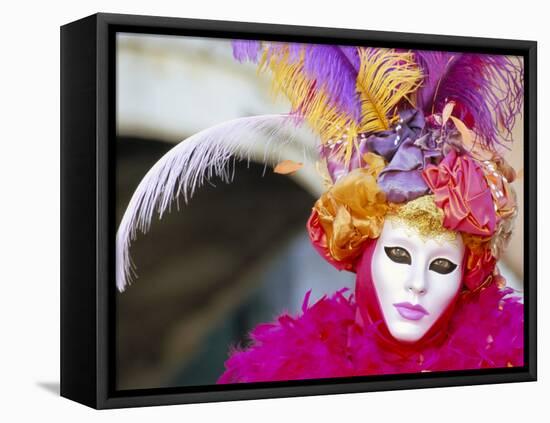 Portrait of a Person Dressed in Mask and Costume Taking Part in Carnival, Venice, Italy-Lee Frost-Framed Stretched Canvas