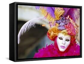 Portrait of a Person Dressed in Mask and Costume Taking Part in Carnival, Venice, Italy-Lee Frost-Framed Stretched Canvas