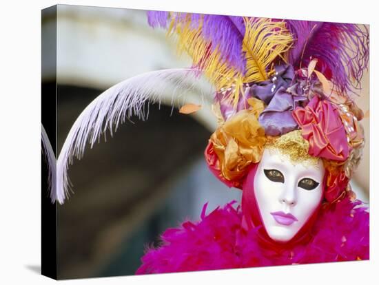 Portrait of a Person Dressed in Mask and Costume Taking Part in Carnival, Venice, Italy-Lee Frost-Stretched Canvas