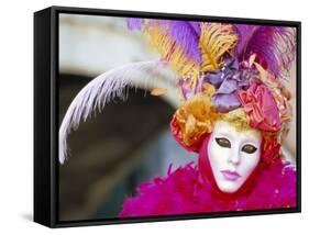 Portrait of a Person Dressed in Mask and Costume Taking Part in Carnival, Venice, Italy-Lee Frost-Framed Stretched Canvas