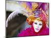 Portrait of a Person Dressed in Mask and Costume Taking Part in Carnival, Venice, Italy-Lee Frost-Mounted Photographic Print