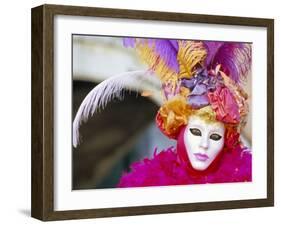 Portrait of a Person Dressed in Mask and Costume Taking Part in Carnival, Venice, Italy-Lee Frost-Framed Photographic Print