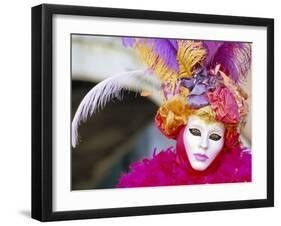 Portrait of a Person Dressed in Mask and Costume Taking Part in Carnival, Venice, Italy-Lee Frost-Framed Photographic Print