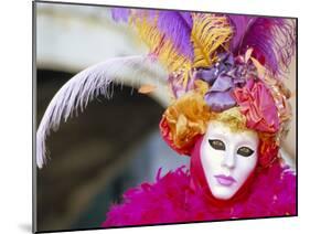 Portrait of a Person Dressed in Mask and Costume Taking Part in Carnival, Venice, Italy-Lee Frost-Mounted Photographic Print