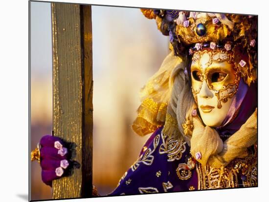 Portrait of a Person Dressed in Mask and Costume Taking Part in Carnival, Venice, Italy-Lee Frost-Mounted Photographic Print