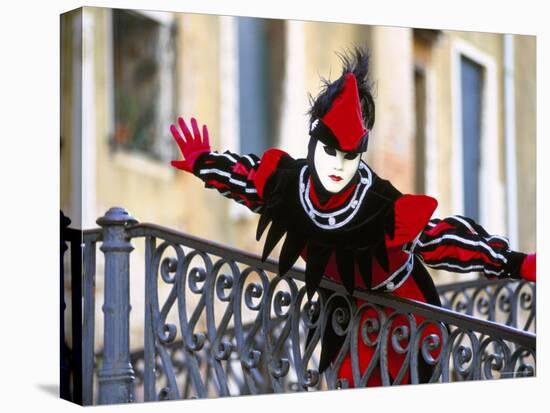 Portrait of a Person Dressed in Mask and Costume Taking Part in Carnival, Venice, Italy-Lee Frost-Stretched Canvas