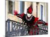 Portrait of a Person Dressed in Mask and Costume Taking Part in Carnival, Venice, Italy-Lee Frost-Mounted Photographic Print