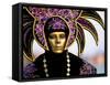 Portrait of a Person Dressed in Mask and Costume Taking Part in Carnival, Venice, Italy-Lee Frost-Framed Stretched Canvas