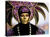 Portrait of a Person Dressed in Mask and Costume Taking Part in Carnival, Venice, Italy-Lee Frost-Stretched Canvas