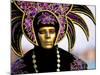 Portrait of a Person Dressed in Mask and Costume Taking Part in Carnival, Venice, Italy-Lee Frost-Mounted Photographic Print