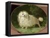 Portrait of a Poodle-Jean Jacques Bachelier-Framed Stretched Canvas