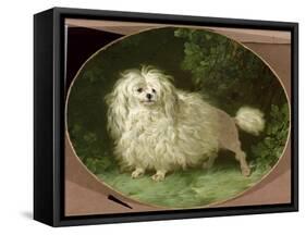 Portrait of a Poodle-Jean Jacques Bachelier-Framed Stretched Canvas