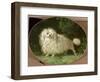 Portrait of a Poodle-Jean Jacques Bachelier-Framed Giclee Print